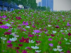 -北沙滩(地铁站)