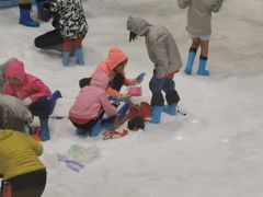 -Mr·Kuma酷么先生雪之乐园