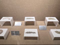-洛阳周王城天子驾六博物馆