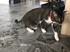 -拉威海鲜市场