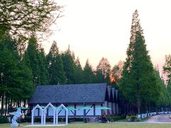 -太阳岛度假酒店