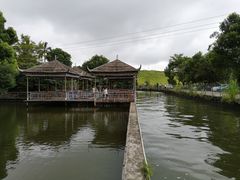 -水库河鲜村