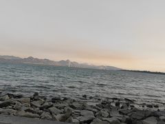 -深圳湾公园(南山区)