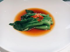 -觀芷隐轩