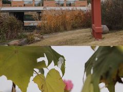 -同济大学(嘉定校区)