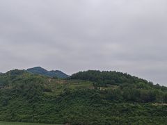 -后柳水乡