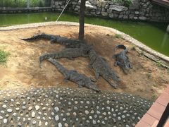 -石家庄市动物园