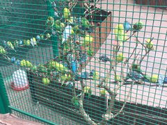 -杭州开元森泊度假乐园