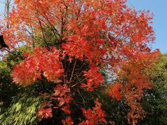 -贵阳市花溪国家城市湿地公园