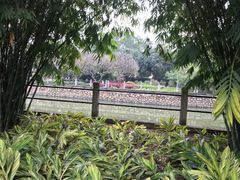 -晓港公园