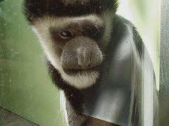 -石家庄市动物园