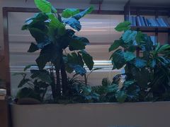 -悦海·家宴·冰花皮皮虾大锅贴(宝龙店)