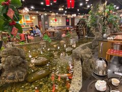 -丰圆轩粤式茶楼 . 点心粤菜(夏茅店)