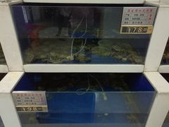 水产区-蟹都汇(龙舟店)
