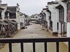 -上海鲜花港