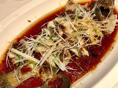 石斑鱼-三号黄浦会Canton Table