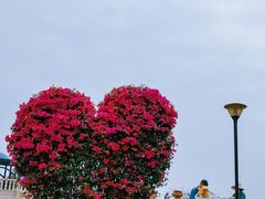 -东莞植物园