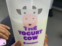 -一只酸奶牛(八一路店)