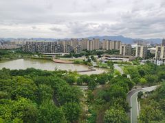 -飞凤山奥体公园