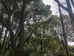 -上海醉白池公园