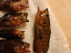 -小猫钓鱼海钓俱乐部(椰梦长廊店)