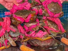 -辣螃铠盆盆蟹大排档(总店)