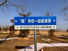 -盐城丹顶鹤湿地生态旅游区