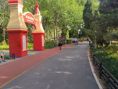 -大兴滨河森林公园