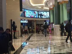 -AMG海上明珠影城(上海环球港RealDCinema店)