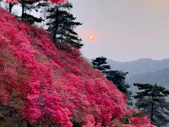 -木兰云雾山