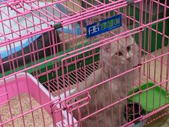 -皖宠联盟宠爱优家宠物医院(中兴西湖店)