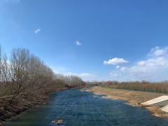 -东郊湿地公园