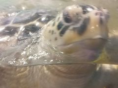 -苏州海洋馆