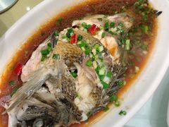 广式铜盆鱼-洲晓鲜·舟山海鲜大排档(朱家尖风景区店)