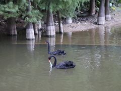 -广州市帽峰山景区