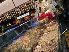 -苏格里岛自助烤肉海鲜火锅(成都金牛万达店)