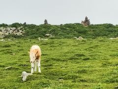 -芦芽山旅游度假区