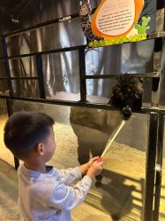 -酷嗒动物文化乐园(cutezoo西溪乐天城店)