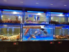 -南海渔村(珠江新城店)