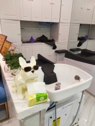 -潘多拉Hairsalon
