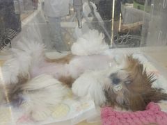 -吾悦广场(南京鼓楼店)