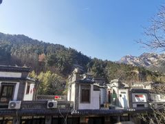 -老张烤羊(王哥庄店)