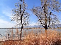-野鸭湖国家湿地公园