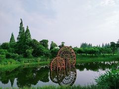 -长田漾湿地公园