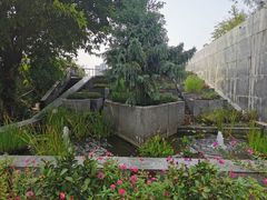 -广州神农草堂中医药博物馆