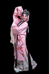 -胭脂猫京剧摄影