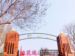 -桃花堤公园