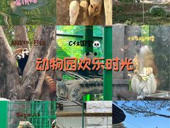 -灵玲国际马戏城