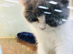 -乐宠宠物店(世纪金源店)