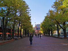 -北海道厅旧本厅舍(旧本庁舎)